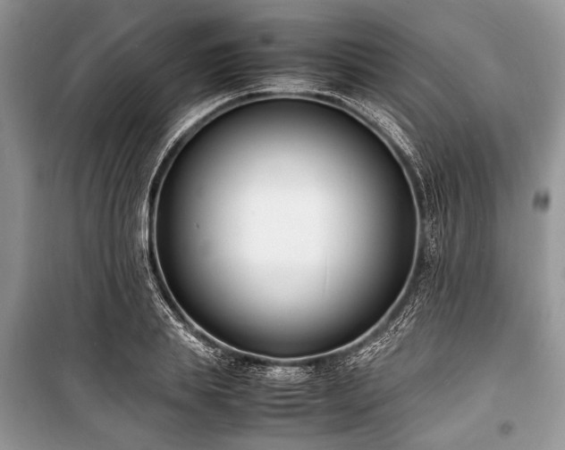 X0000100980839200806241541