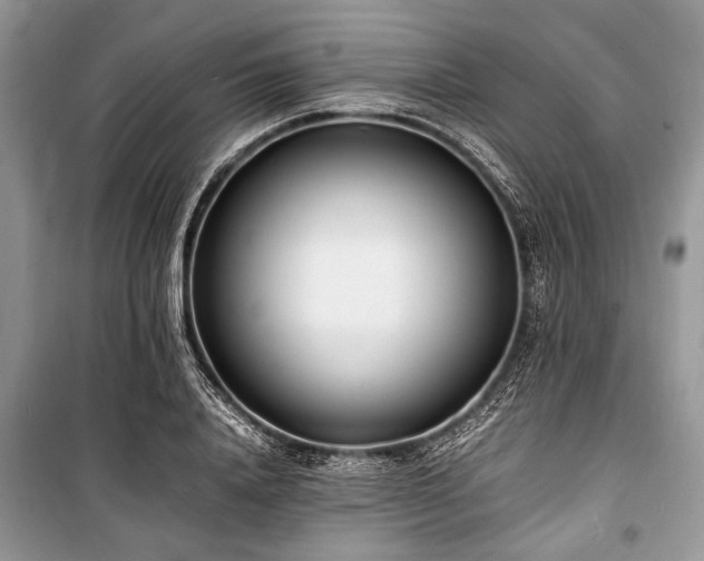 X0000100980840200806241541