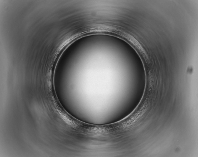 X0000100980842200806241541