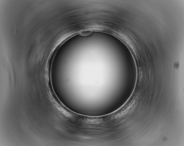 X0000100980843200806241541