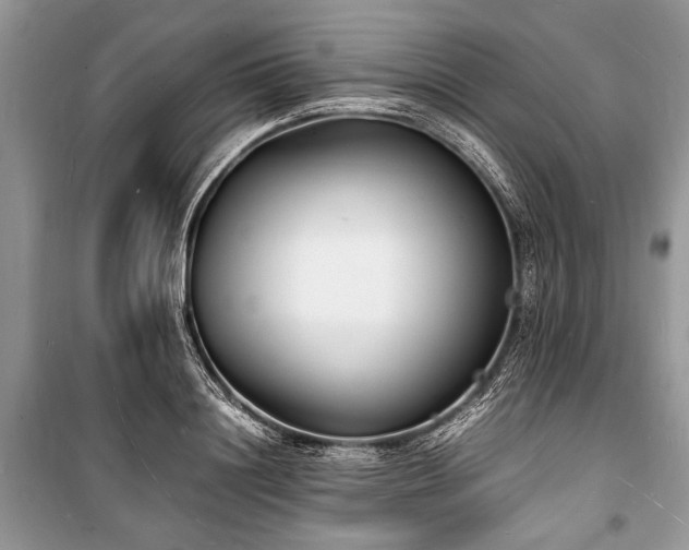 X0000100980844200806241541