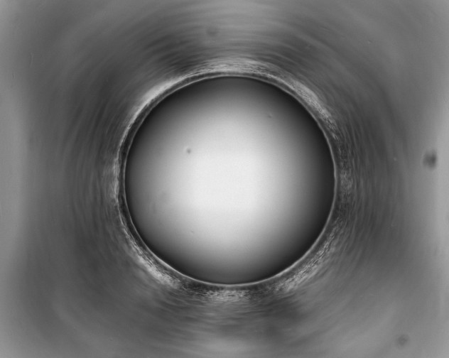 X0000100980846200806241541