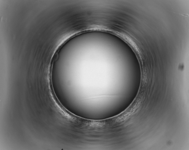 X0000100980847200806241541