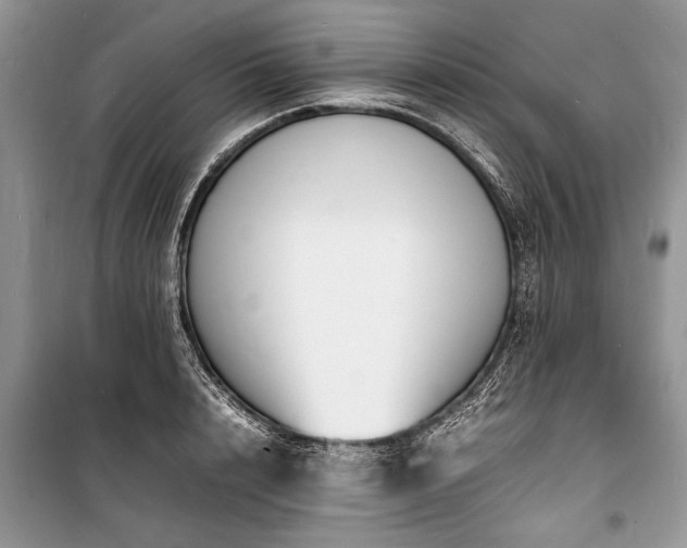 X0000100980848200806241541