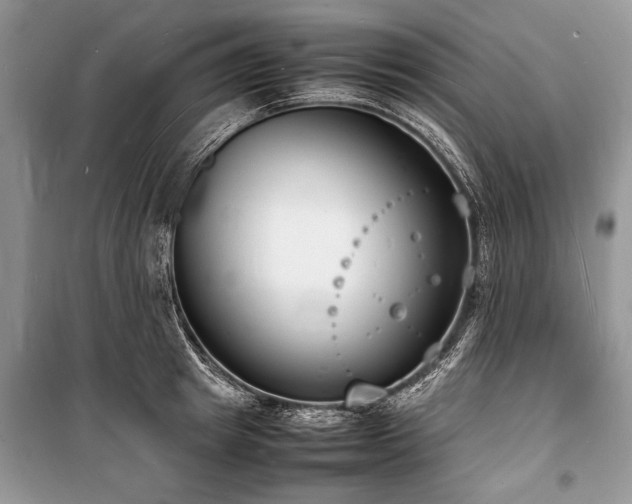 X0000100980849200806241541
