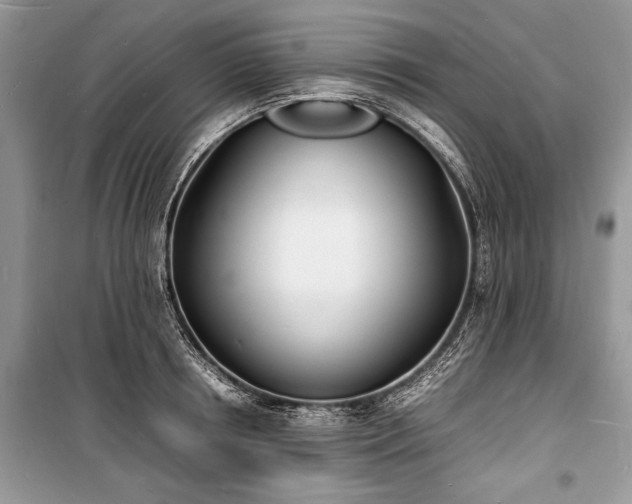 X0000100980850200806241541