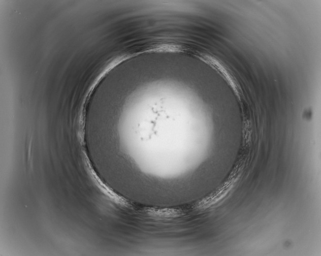 X0000100980851200806241541