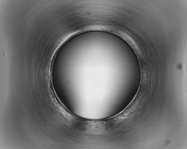 X0000100980852200806241541