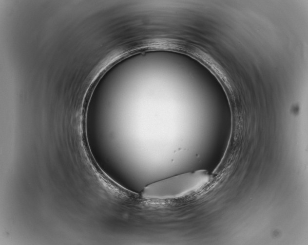 X0000100980853200806241541