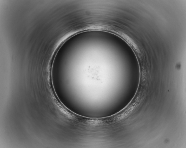X0000100980854200806241541