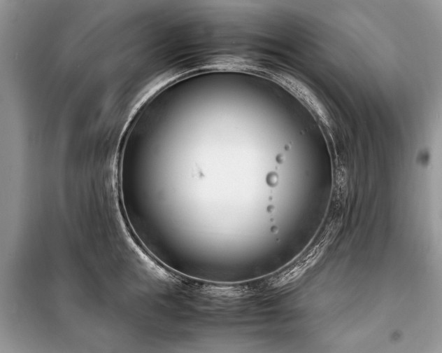 X0000100980855200806241541