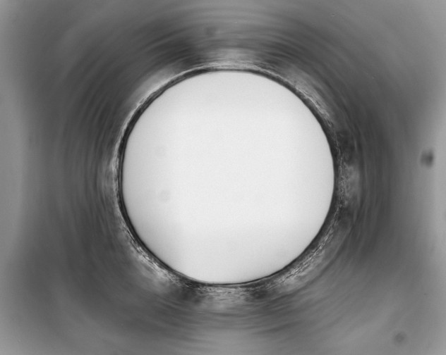 X0000100980856200806241541