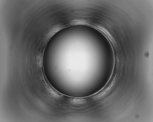 X0000100980857200806241541