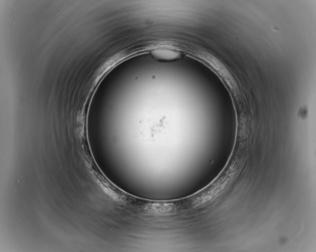X0000100980858200806241541