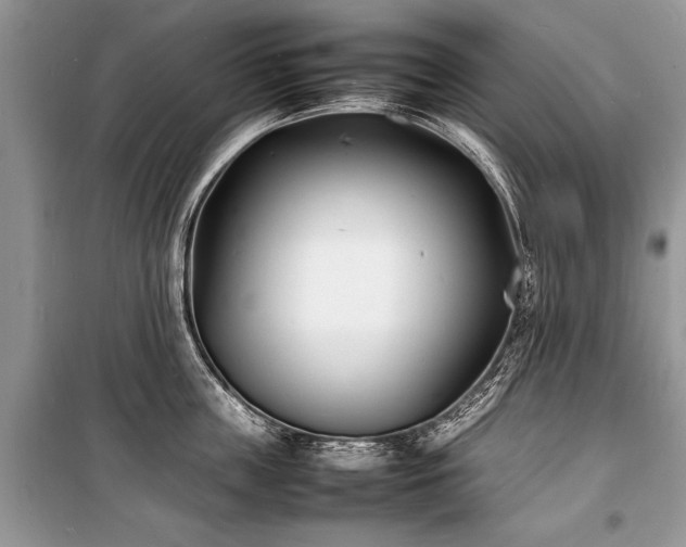 X0000100980859200806241541