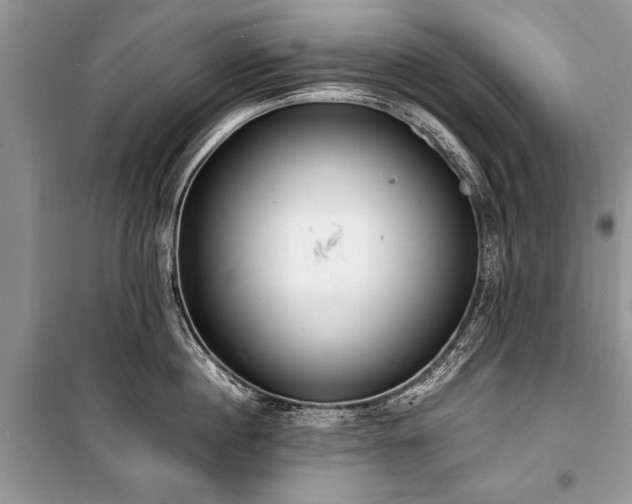 X0000100980860200806241541