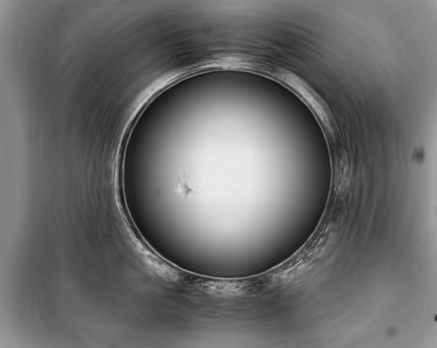 X0000100980861200806241541