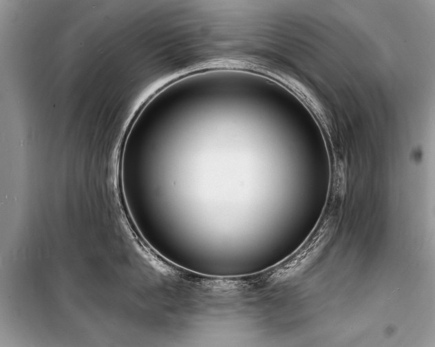 X0000100980862200806241541