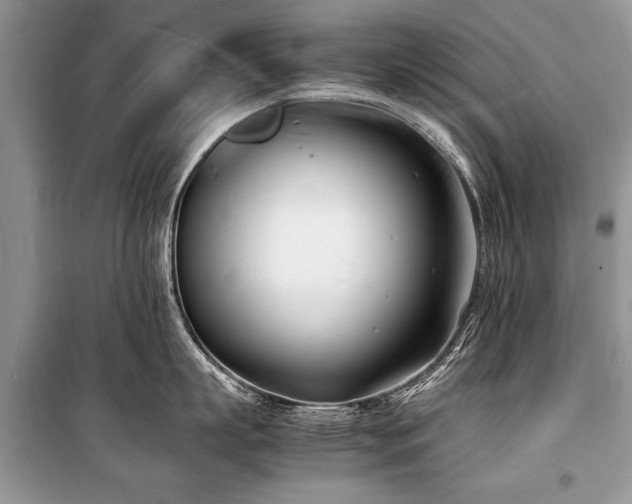 X0000100980863200806241541