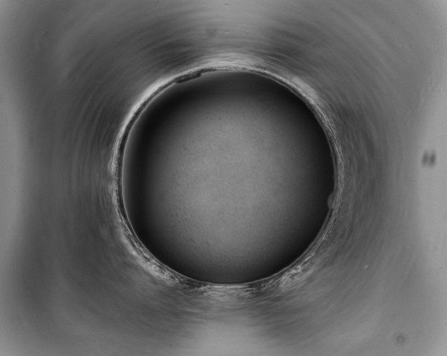 X0000100980864200806241541