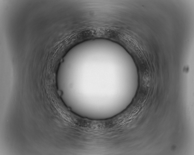 X0000100980865200806241540