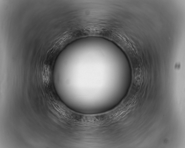 X0000100980866200806241540