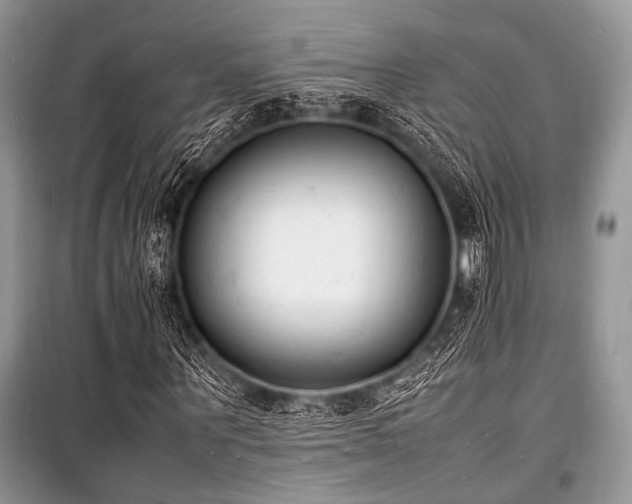 X0000100980867200806241540
