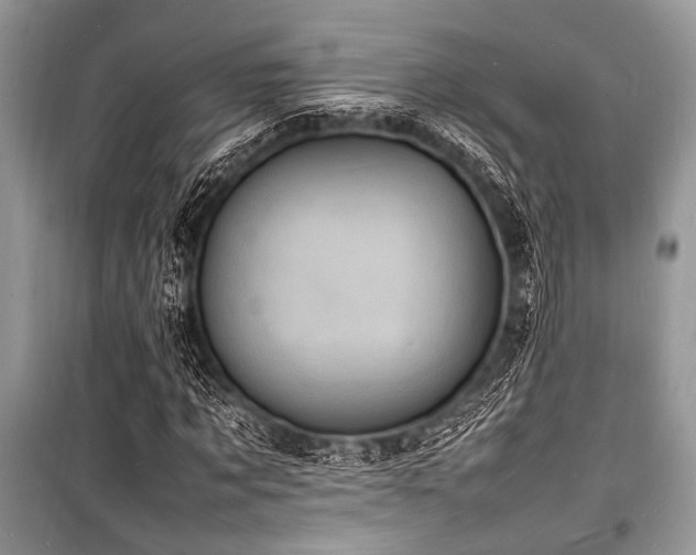 X0000100980869200806241540