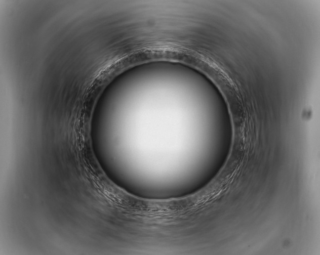 X0000100980870200806241540