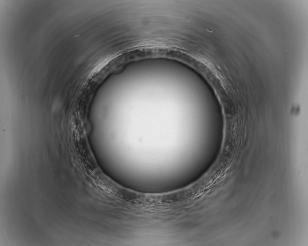 X0000100980871200806241540