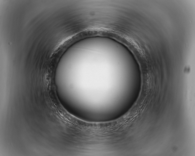 X0000100980872200806241540