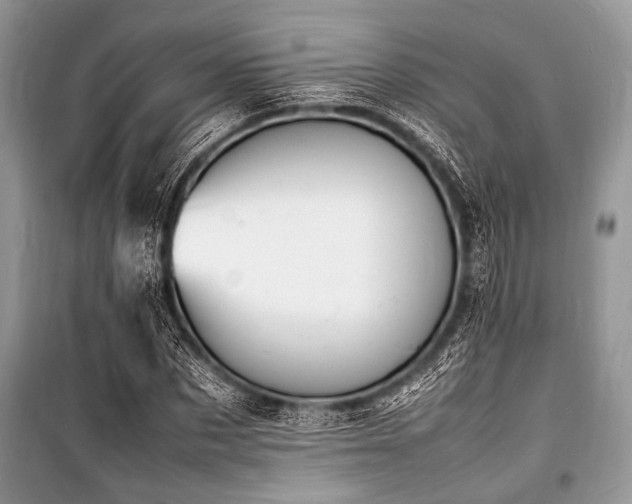 X0000100980873200806241540