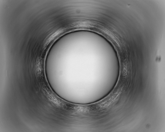 X0000100980874200806241540
