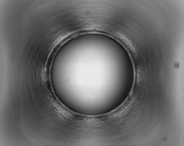X0000100980876200806241540