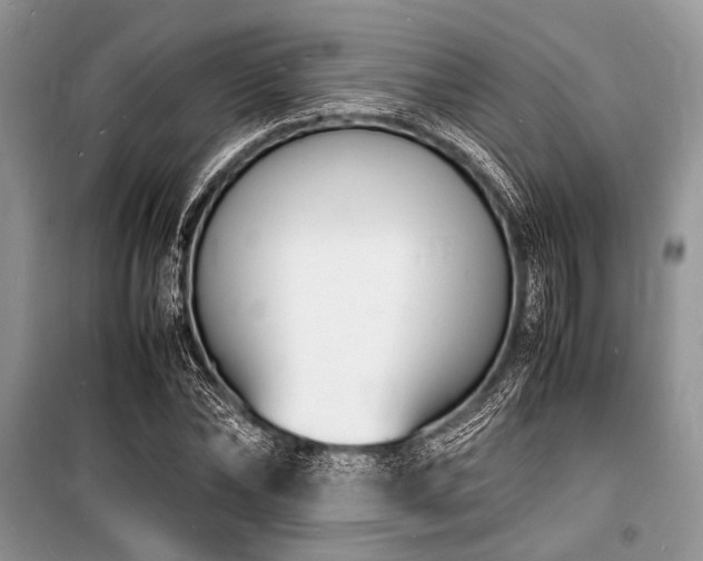X0000100980878200806241540