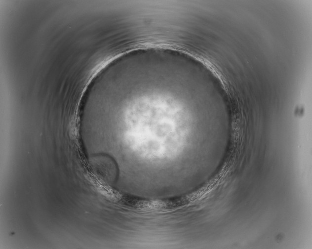 X0000100980879200806241540