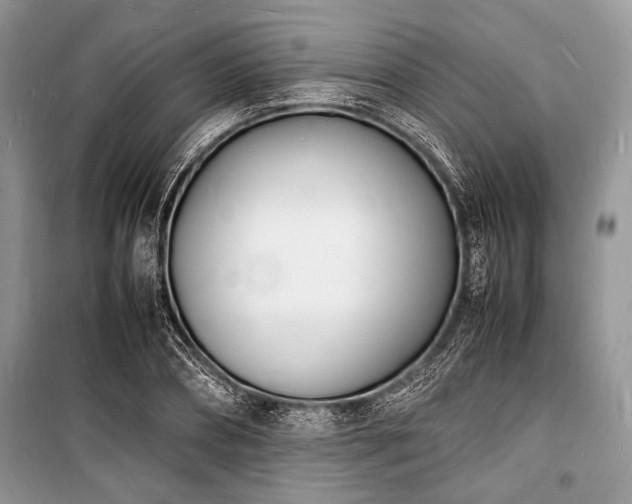 X0000100980882200806241540