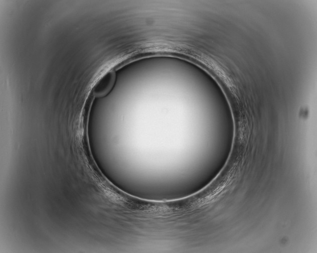 X0000100980885200806241540