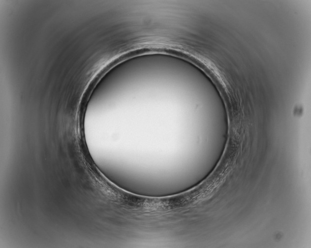 X0000100980887200806241540