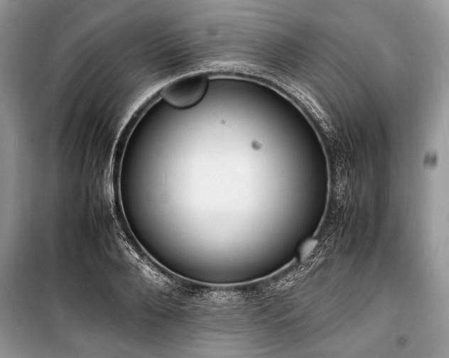 X0000100980888200806241540