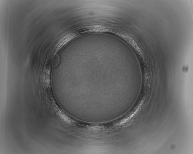 X0000100980889200806241540