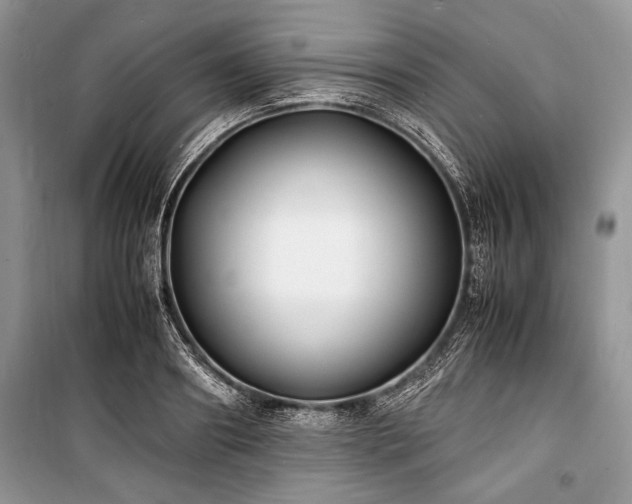 X0000100980890200806241540