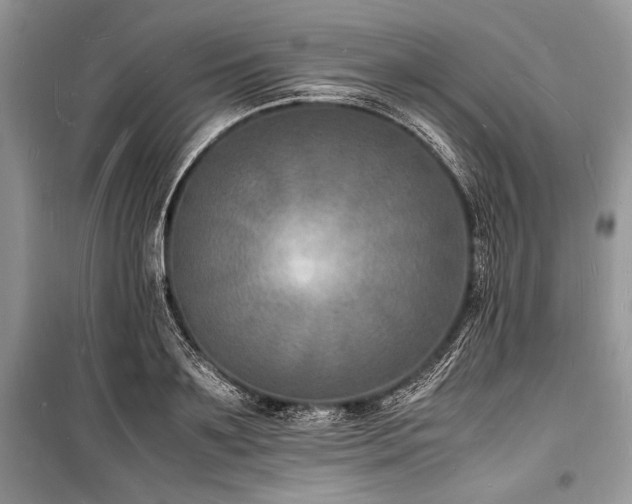X0000100980891200806241540