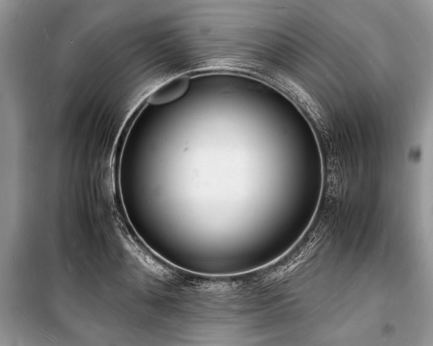 X0000100980892200806241540