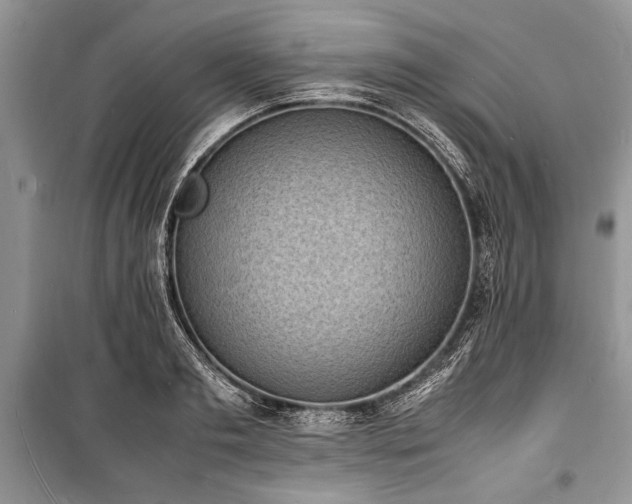 X0000100980893200806241540