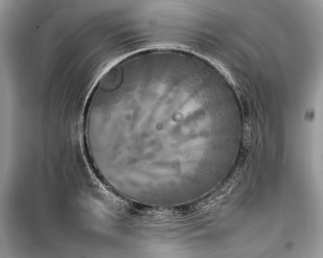 X0000100980895200806241540