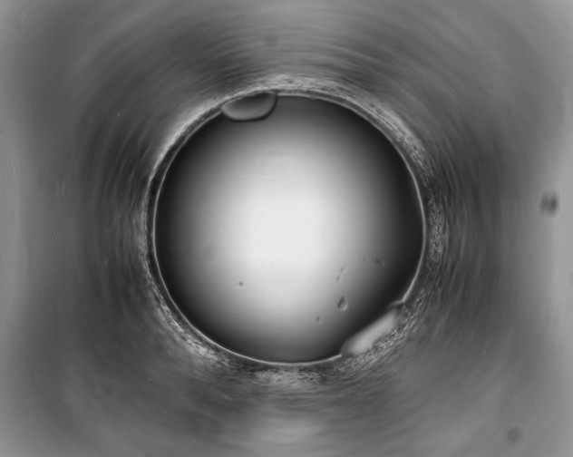 X0000100980896200806241540