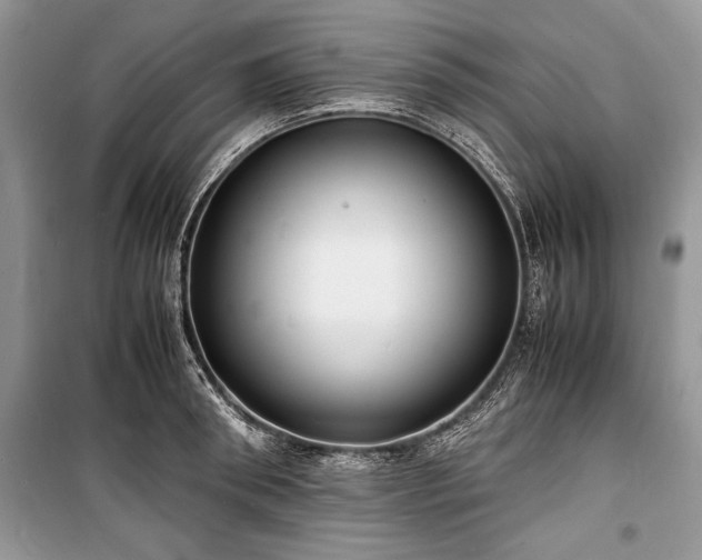 X0000100980898200806241540