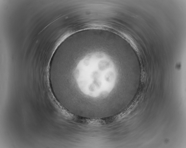X0000100980899200806241540