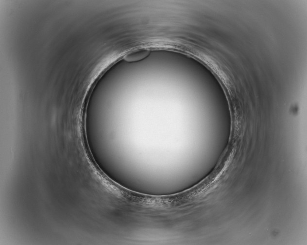 X0000100980901200806241540